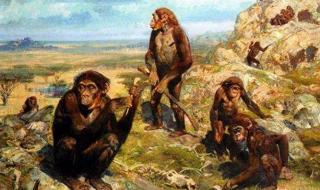 人类起源与进化过程先后顺序 人类的起源与进化